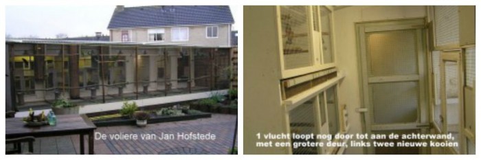 Afbeelding invoegen